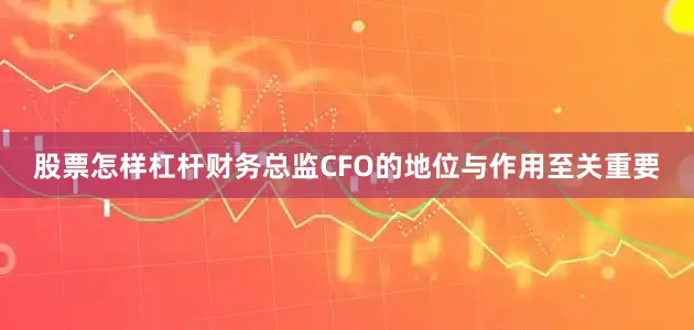 股票怎样杠杆财务总监CFO的地位与作用至关重要