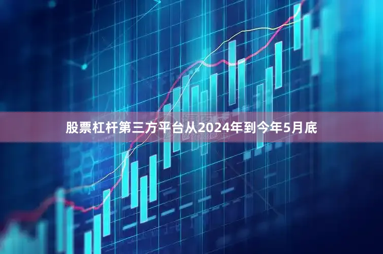 股票杠杆第三方平台从2024年到今年5月底