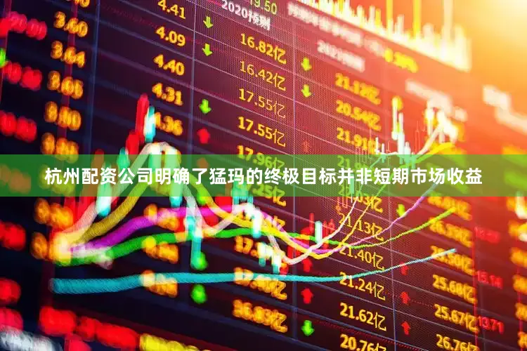 杭州配资公司明确了猛玛的终极目标并非短期市场收益