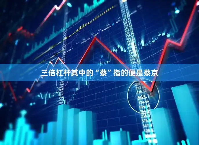 三倍杠杆其中的“蔡”指的便是蔡京